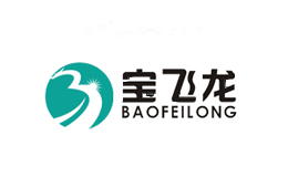 宝飞龙BAOFEILONG