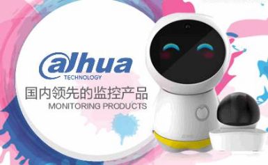 DAHUA大华股份 展示图