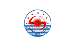 圣日照明