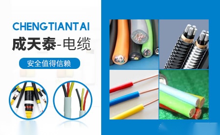 成天泰 展示图