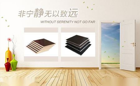 万维WANWEI 展示图