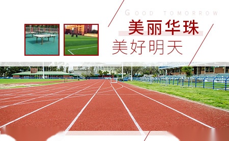 华珠 展示图