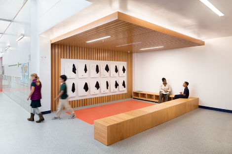 Procedo普罗西多 展示图