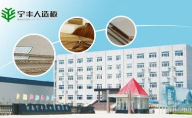 宁丰 展示图