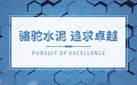 骆驼牌 展示图