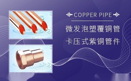 博洋 展示图