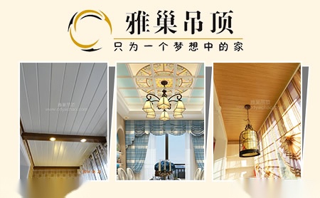 雅巢吊顶 展示图