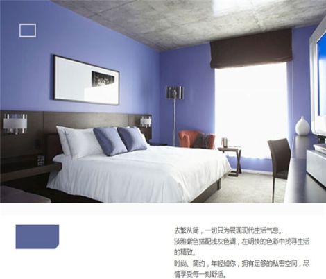 莘佳贝壳粉 展示图