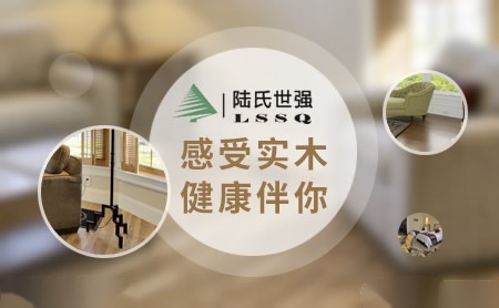 陆氏世强LSSQ 展示图