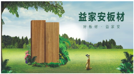 益家安 展示图