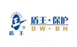 盾王DUNWANG