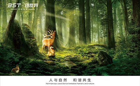 BST百世特 展示图