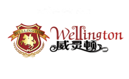 揽月科技