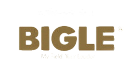 百舸Bigle