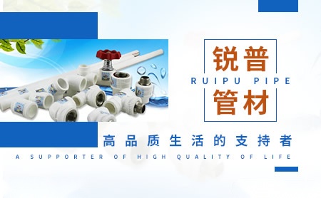 锐普REPE 展示图