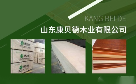 雨辰YUCHEN 展示图