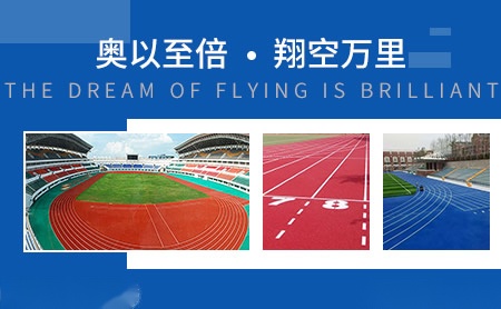奥翔OAOX 展示图
