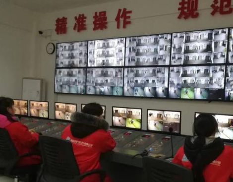 望卓科技 展示图