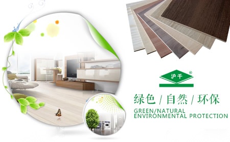 雷仕LEIS 展示图