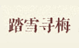 踏雪寻梅