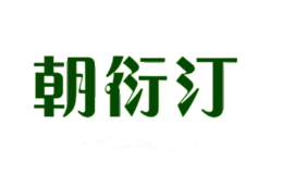 朝衍汀