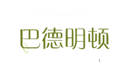 巴德明顿