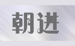 朝进CHAO JIN