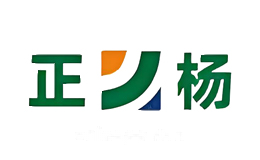 正杨