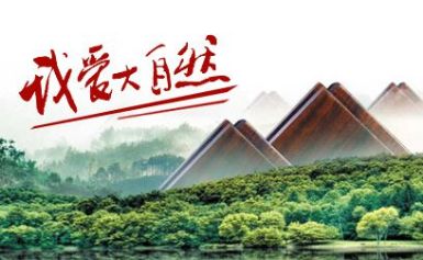 大自然家居 展示图