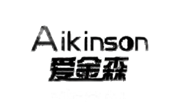 爱金森