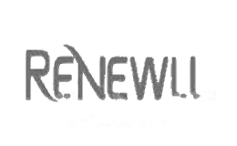 润友RENEWLL