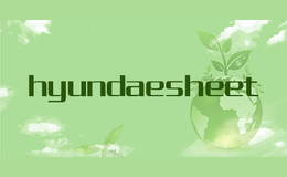 hyundaesheet
