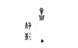 静影