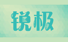 锐极