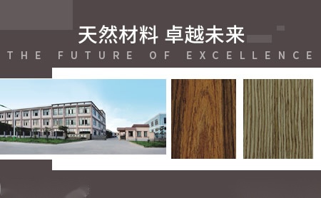 DAMUJIANG 展示图