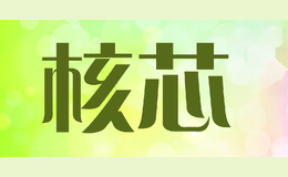 核芯