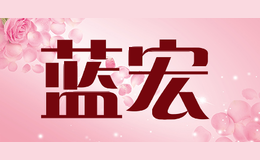 蓝宏