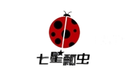 七星瓢虫汽车用品