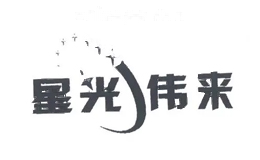 星光伟来