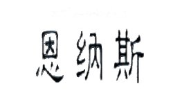 恩纳斯