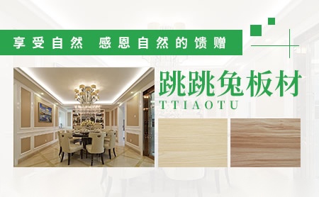 跳跳兔Ttiaotu 展示图