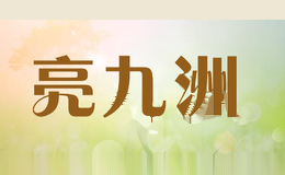 亮九洲
