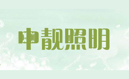 中靓照明