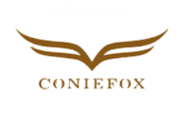创意狐CONIEFOX