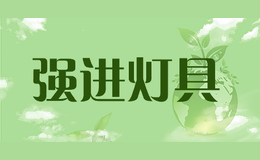 强进灯具