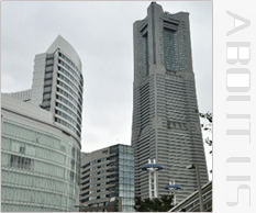 STARLIGHT星光 展示图