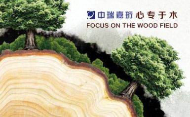 中瑞嘉珩 展示图