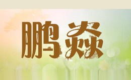 鹏焱