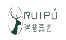 瑞普ruipu