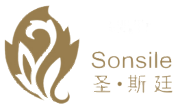 圣斯廷Sonsile